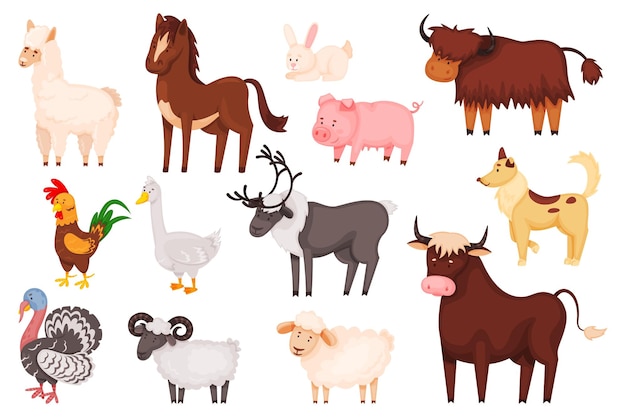 Dibujos animados de animales de granja y aves, lindos personajes de animales domésticos. Ovejas, cabras, cerdos, conejos, perros, caballos, pavos, conjunto de vectores de ganadería. Fauna salvaje, bisontes aislados, ciervos y toros.