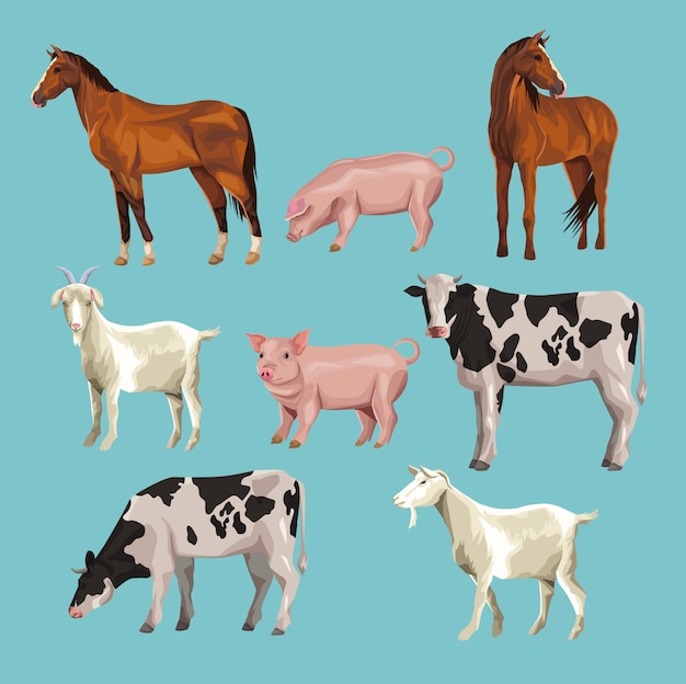 Vector dibujos animados de animales de granja