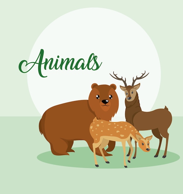 Dibujos animados de animales lindos sobre fondo colorido
