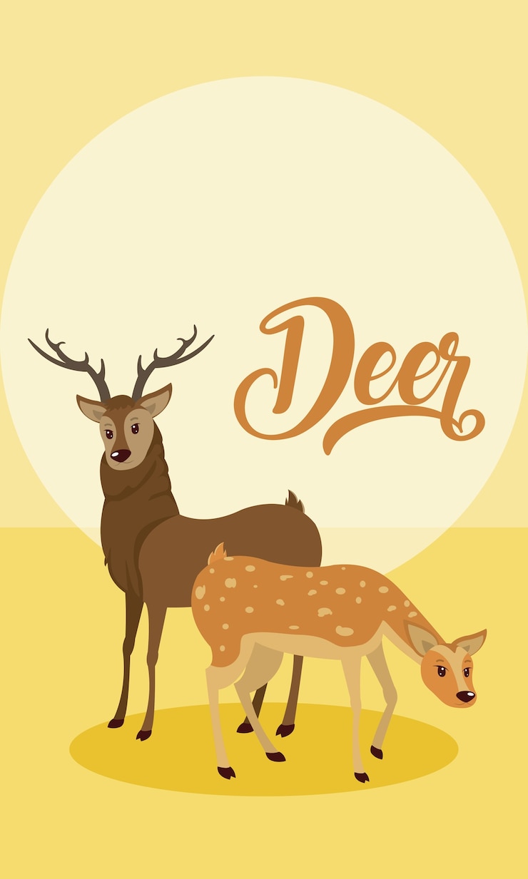 Vector dibujos animados de animales lindos sobre fondo colorido
