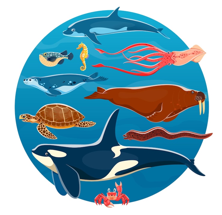 Vector dibujos animados de animales marinos, peces marinos, calamares, delfines