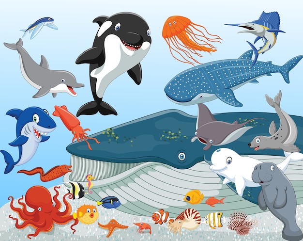 Vector dibujos animados de animales marinos