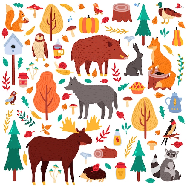 Dibujos animados de animales de otoño. lindos pájaros y animales del bosque, alces, pato, lobo y ardilla, conjunto de iconos de ilustración de fauna de bosques silvestres. mapache y cerdo, conejo, bosque de árboles, pájaro y oso