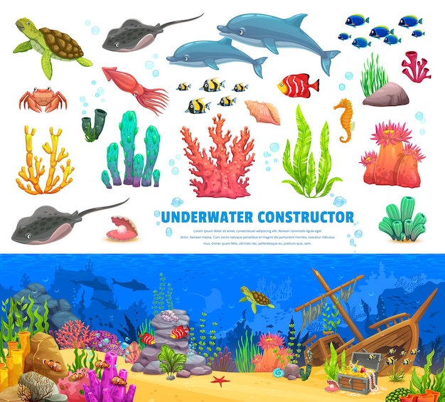 Dibujos animados animales peces algas y corales paisaje submarino constructor vector kit de mar u océano Delfín raya y calamar con tortuga caballito de mar o estrella de mar en kit de constructor submarino