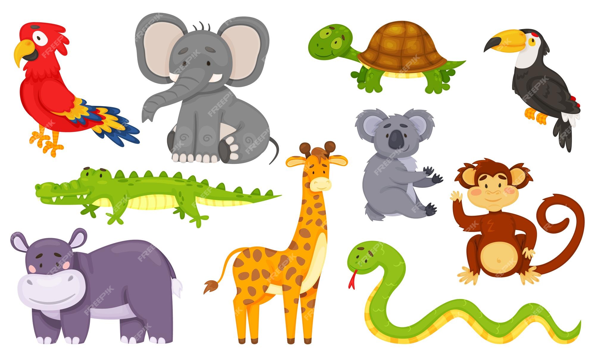 Dibujos animados de animales de la selva, personajes de animales salvajes  africanos. lindo mono, jirafa, elefante, tucán, cebra, koala, conjunto de  vectores de vida silvestre de la sabana. infantiles criaturas tropicales con