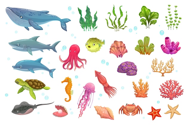 Vector dibujos animados animales submarinos algas peces corales