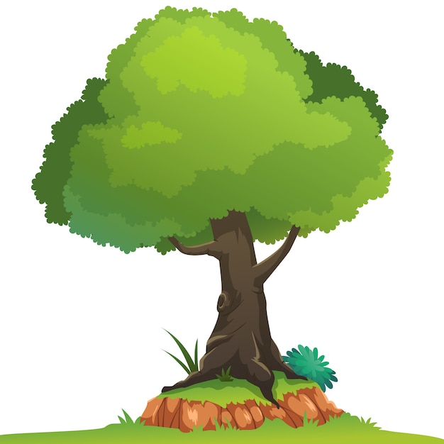 Vector dibujos animados de árbol