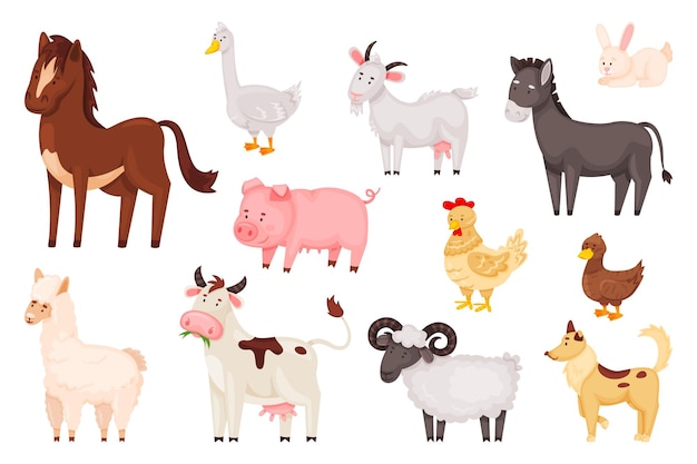 Dibujos animados de aves y animales de granja lindo, ganado doméstico rural. Oveja pollo pato, conejo, ganso, vaca, burro, cabra, cerdo, caballo conjunto de vectores. Personajes agrícolas como alpaca y perro aislado.