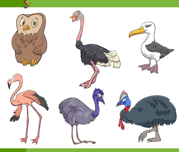 Vector dibujos animados aves especies animales personajes establecidos