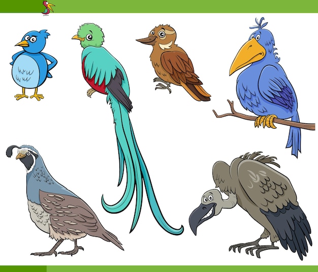 Dibujos animados aves especies animales personajes establecidos