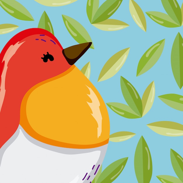 Dibujos animados de aves exóticas