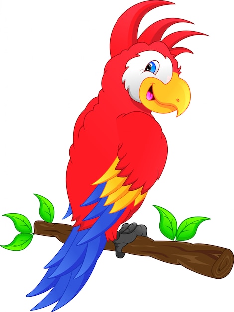 dibujos animados de aves guacamayo