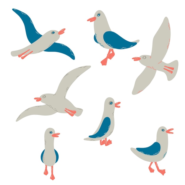 Dibujos animados de aves marinas atlánticas 7 gaviotas en un estilo plano vectorial