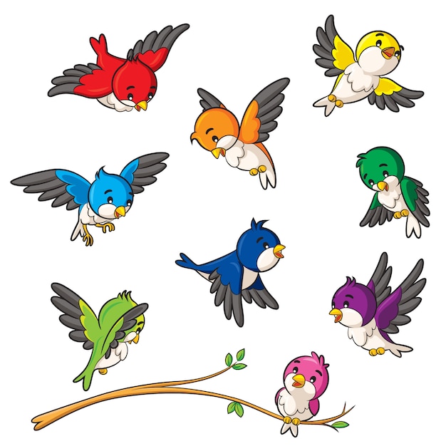 Vector dibujos animados de aves