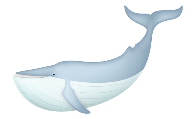 dibujos animados de ballena azul realista