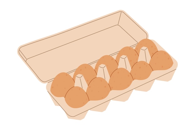 Dibujos animados con bandeja de huevos abierta Huevos de pollo en caja de cartón Ilustración vectorial plana aislada en blanco