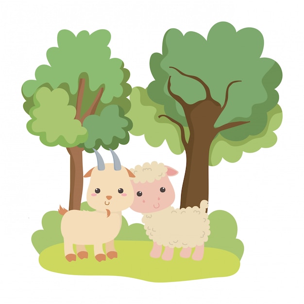 Dibujos animados de cabra y oveja