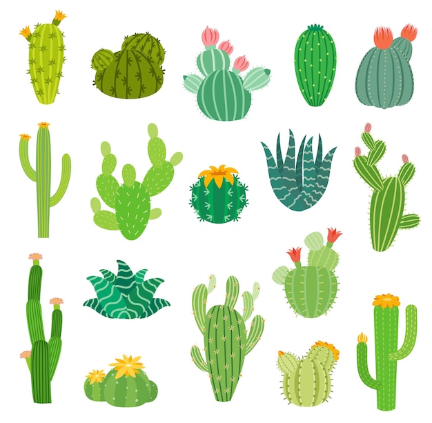 Dibujos animados de cactus del desierto mexicano o peruano suculentas con flores, vector iconos aislados. plantas de cactus de verano de aloe vera, agave y opuntia con flores en flor, plantas espinosas de méxico y perú