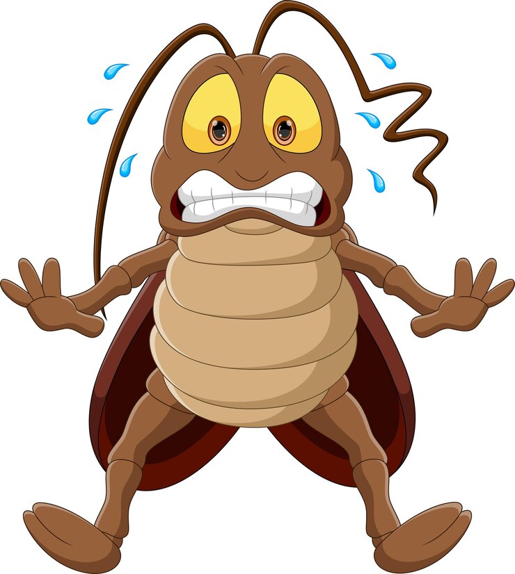 Vector dibujos animados de cucaracha asustada aislado sobre fondo blanco.