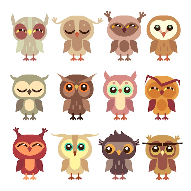 Dibujos animados divertidos búhos establecidos. Depredador de aves silvestres, pequeña ilustración de mochuelo