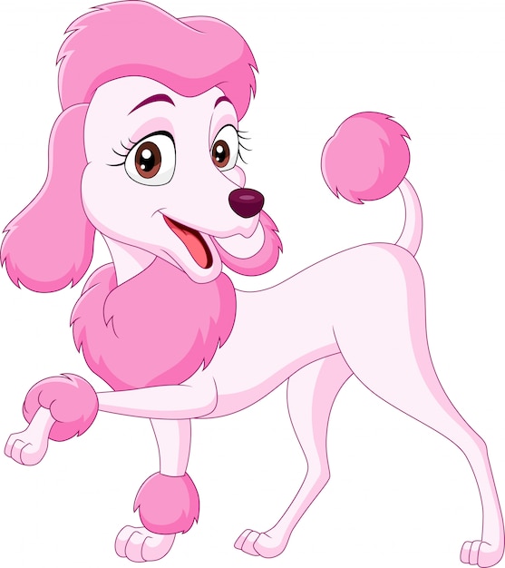 Vector dibujos animados feliz caniche rosa aislado