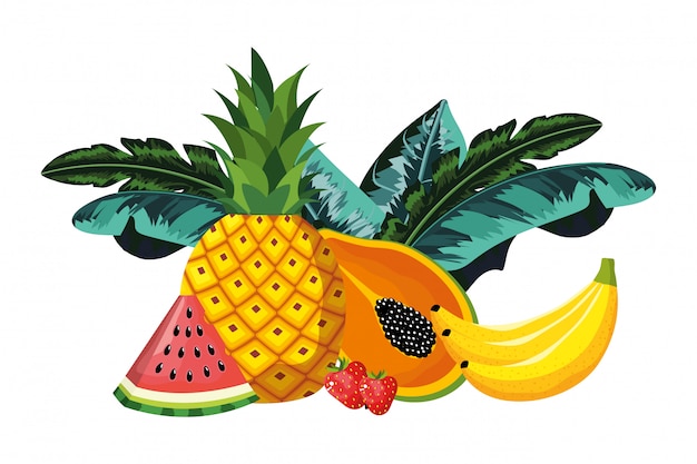 Vector dibujos animados de frutas tropicales