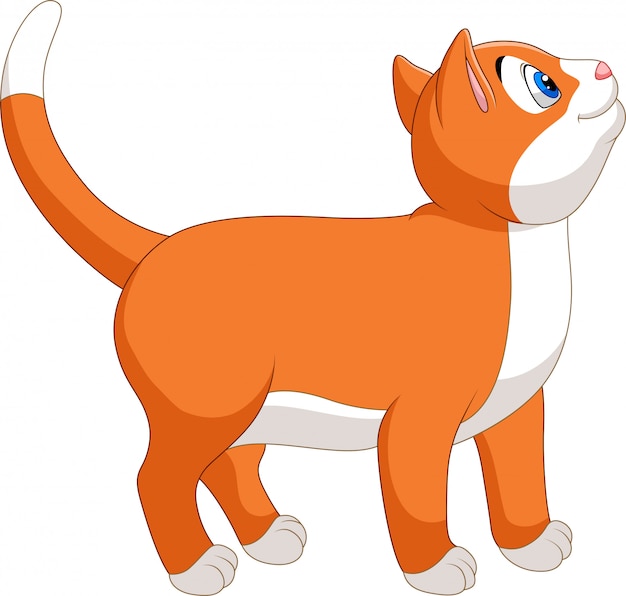 Dibujos animados de gato sonriente aislado en blanco
