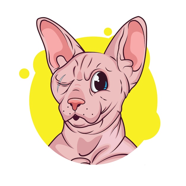dibujos animados de gato sphynx