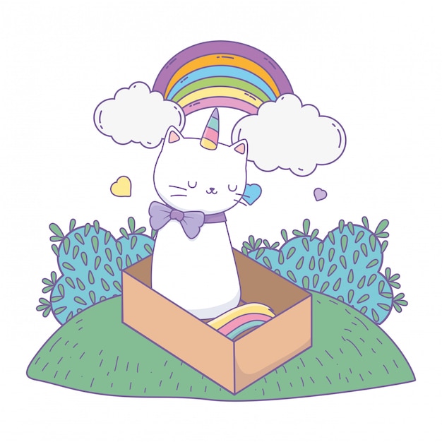 Dibujos animados de gato unicornio