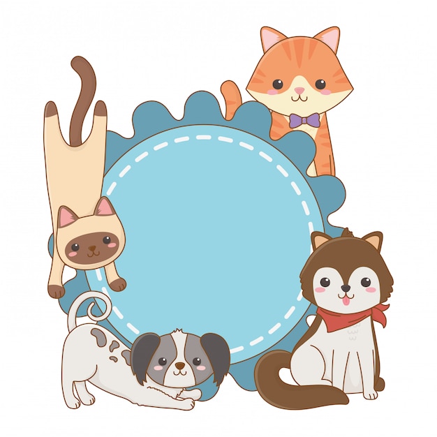 Dibujos animados de gatos y perros en diseño de marco redondeado
