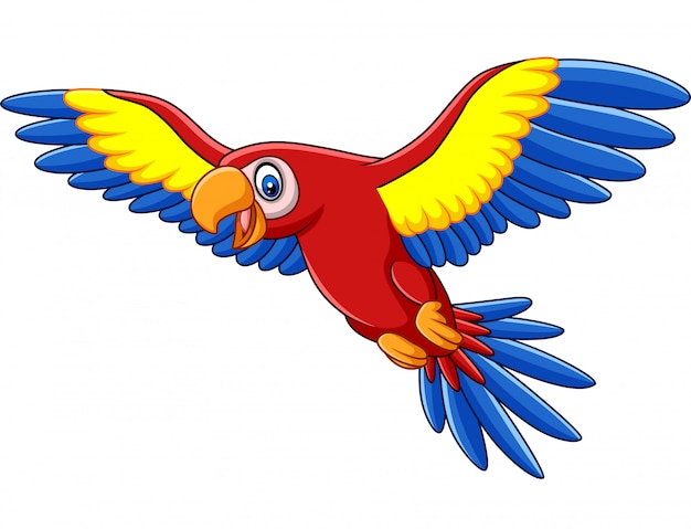 Dibujos animados gracioso guacamayo volando | Vector Premium Dibujos animados gracioso guacamayo volando | Vector Premium
