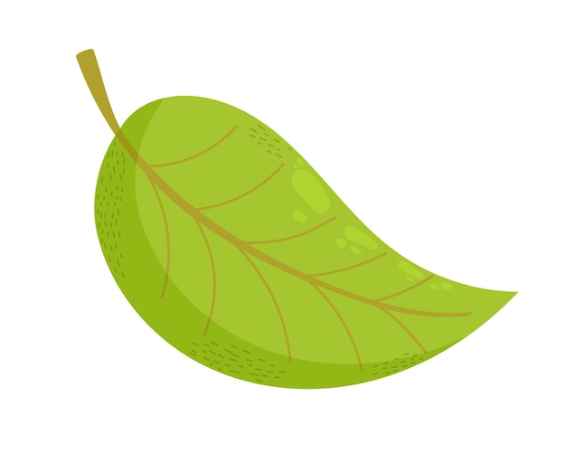 Dibujos animados hoja verde planta orgánica fresca vector dibujado a mano ilustración aislada sobre fondo blanco