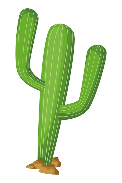 Vector dibujos animados de icono de planta de cactus aislado