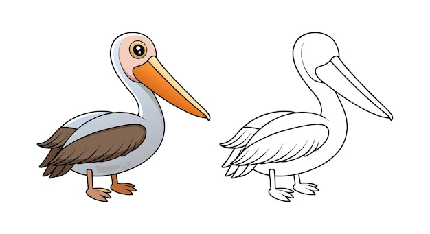 Dibujos animados y ilustraciones para colorear de pelícanos