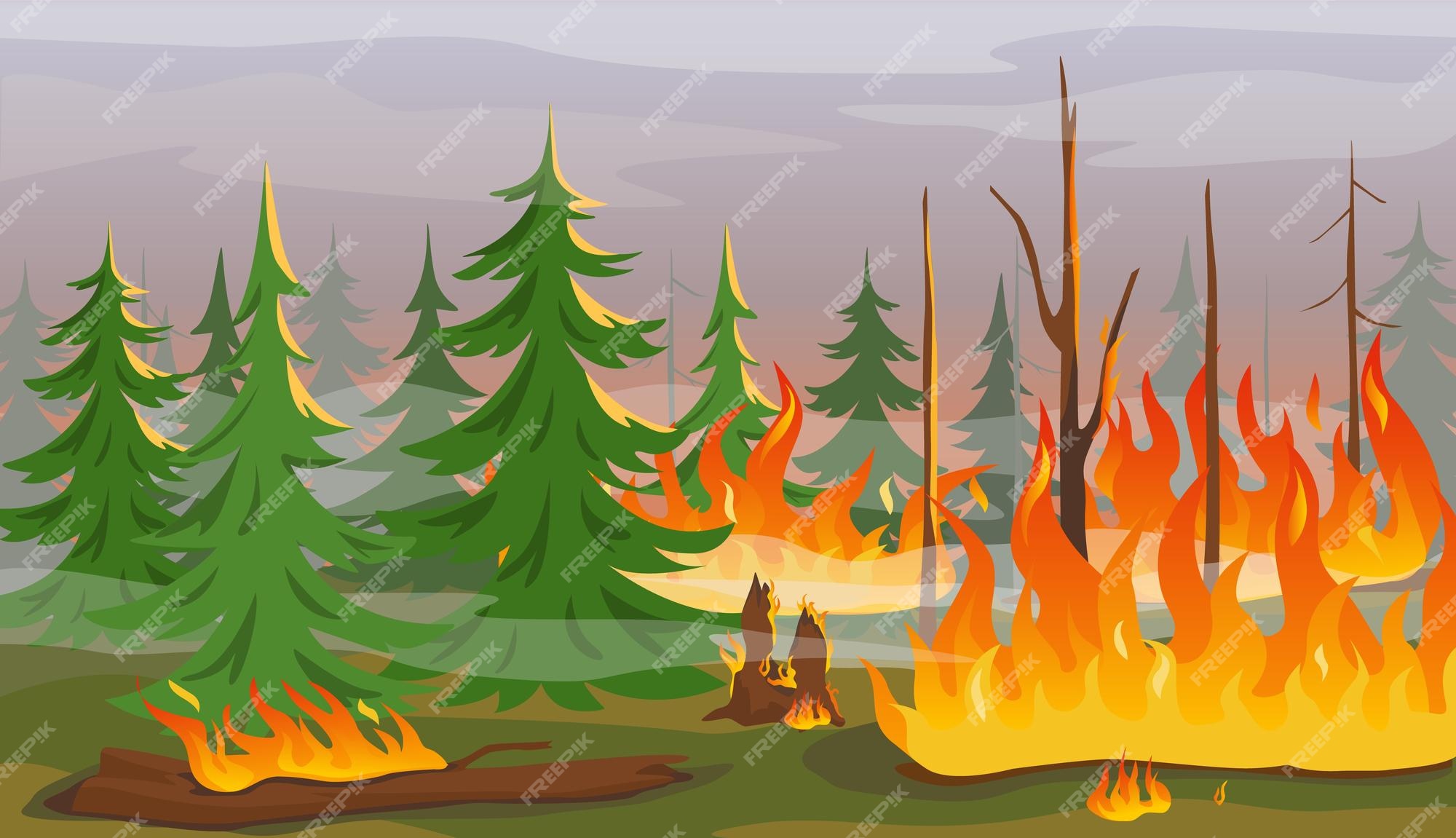 Top 86+ imagen incendios forestales dibujos