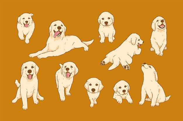 Dibujos animados Juguetón golden retriever cachorro ilustración solated vector conjunto