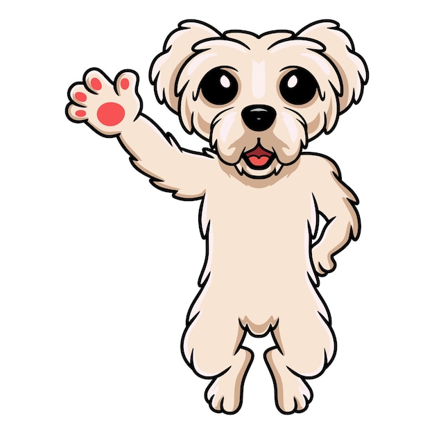 Vector dibujos animados lindo cachorro maltés