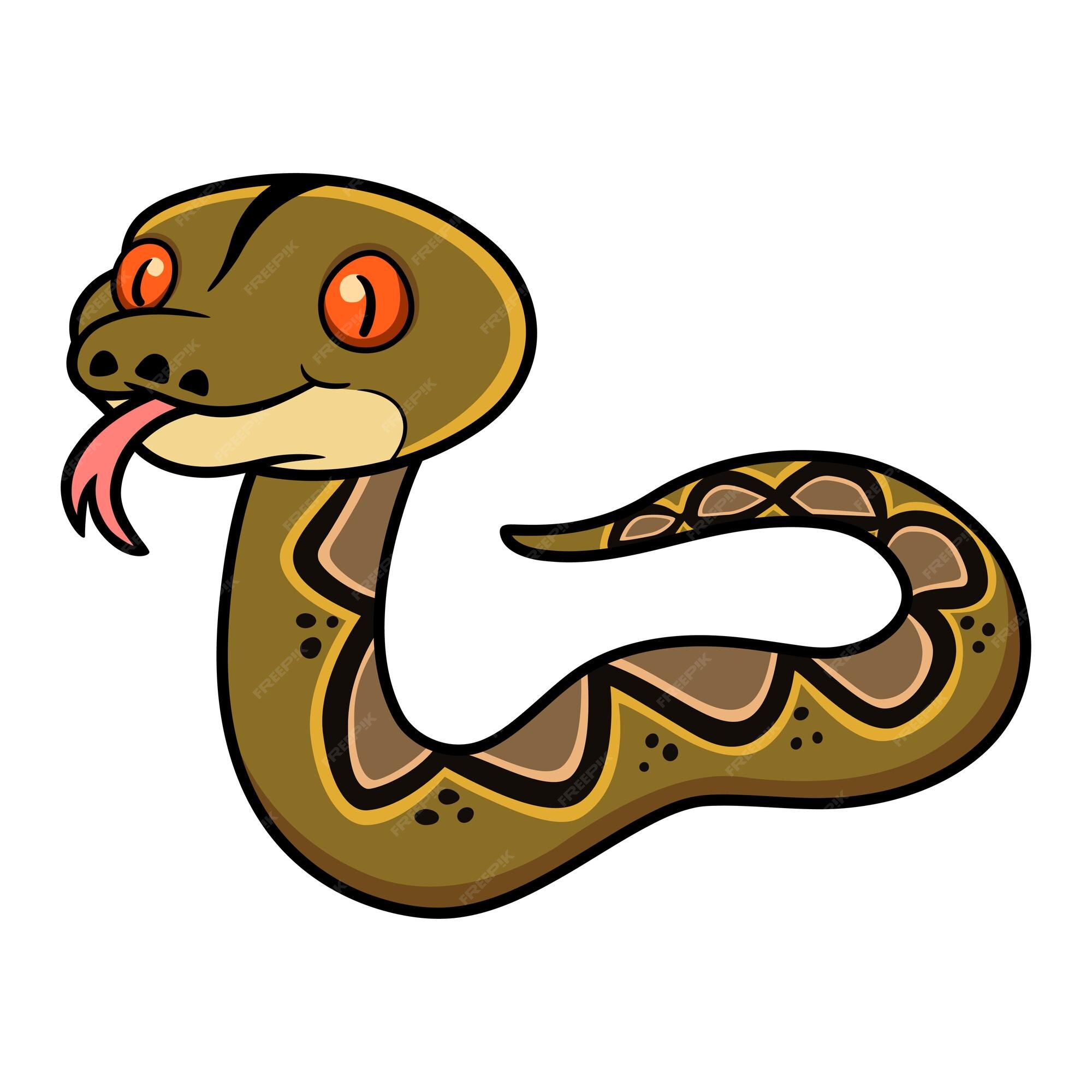 Dibujos animados lindo feliz reticulatus python | Vector Premium