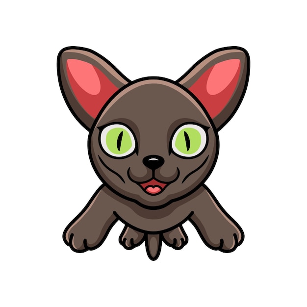 Dibujos animados lindo gato korat volando