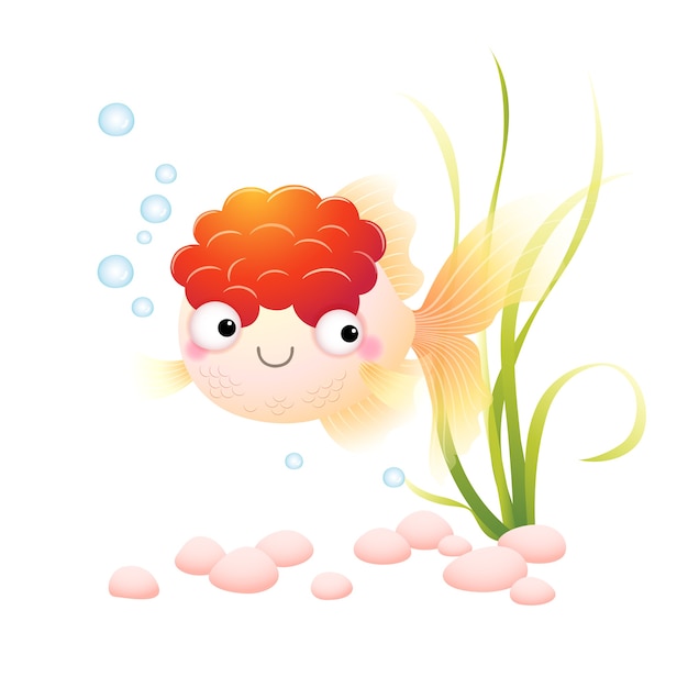 dibujos animados lindo gorro rojo oranda goldfish en un acuario.