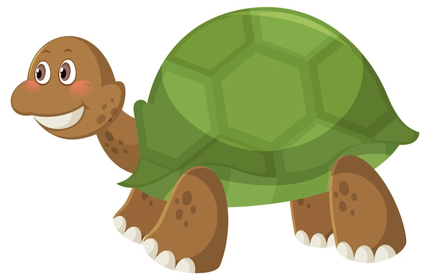 Vector dibujos animados lindo tortuga simple sobre fondo blanco