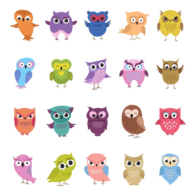 Dibujos animados lindos búhos establecidos. Colección de pájaros divertidos y enojados.