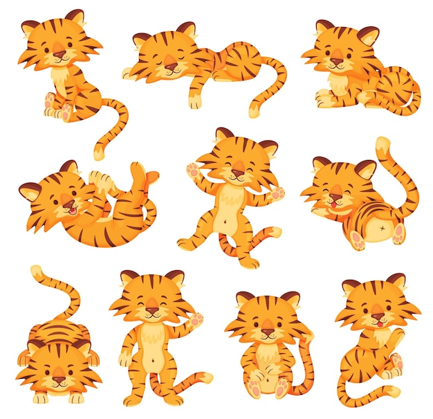 Dibujos animados lindos tigres feliz pequeño tigre cachorros vector set