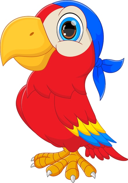 dibujos animados de loros con fondo blanco