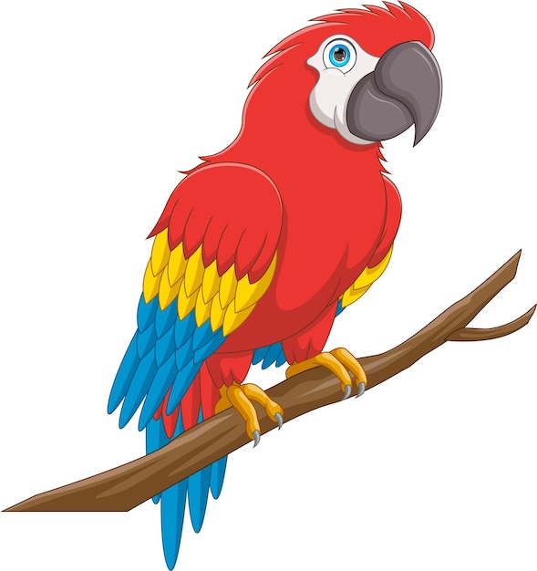 Vector dibujos animados de loros con fondo blanco