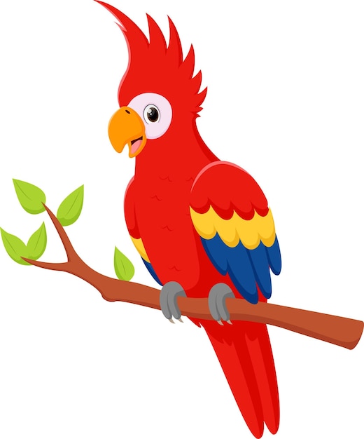 dibujos animados de loros rojos