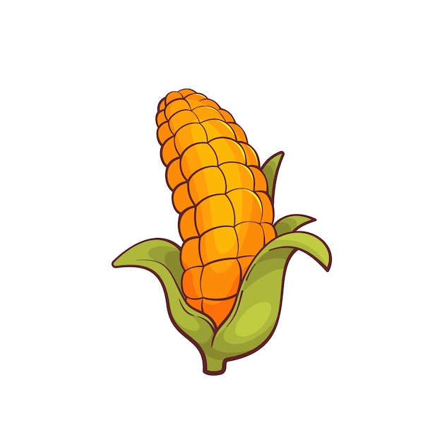 Vector dibujos animados de maíz en blanco