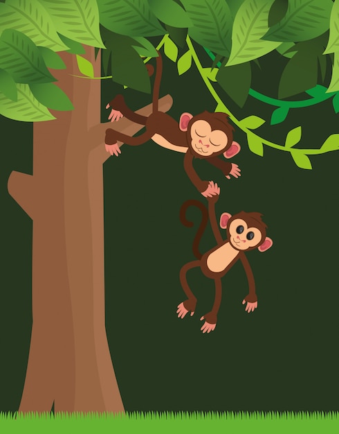 Vector dibujos animados de monos de la selva