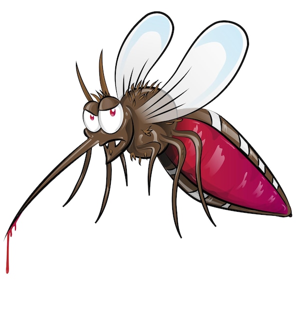 Vector dibujos animados de mosquitos aislados sobre fondo blanco