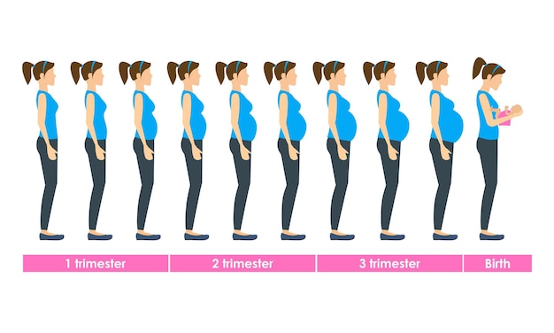 Dibujos animados Mujer Embarazo Etapas o pasos y nacimiento Conjunto Cuidado Salud Concepto Estilo plano Diseño Vector